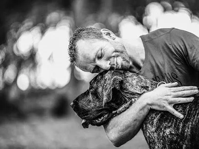 Image de Lili Marie au poil, photographe de vos animaux