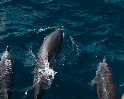 Image de Maxime Armange photographe