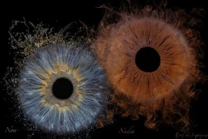 Image de Oeil des tropiques - Photographie d'iris en Martinique