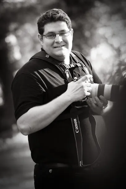 Image de sebastien d'hont photographe