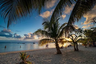 Image de Tropical Média 971 - Photographe Vidéaste en Guadeloupe.